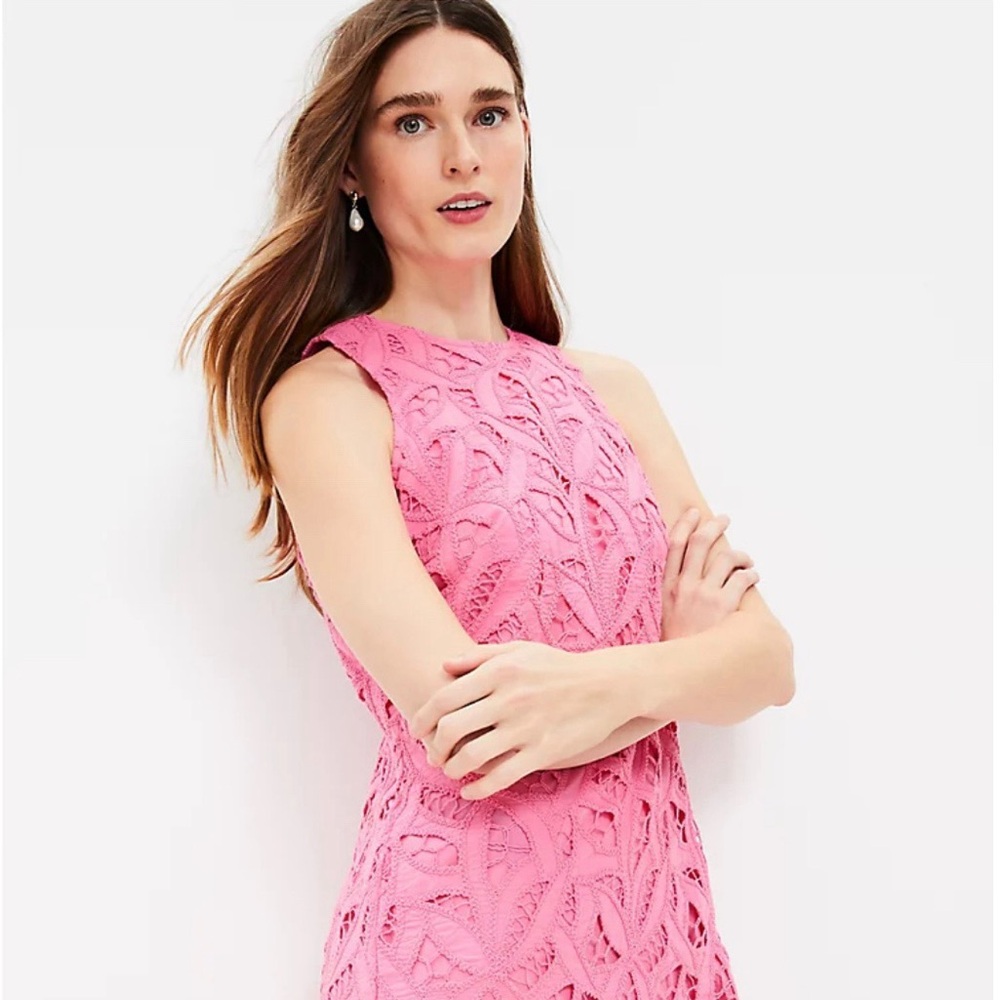 Loft Pink Lace Shift Dress Size 8